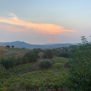 Fundraising Page: Puiyee Tse